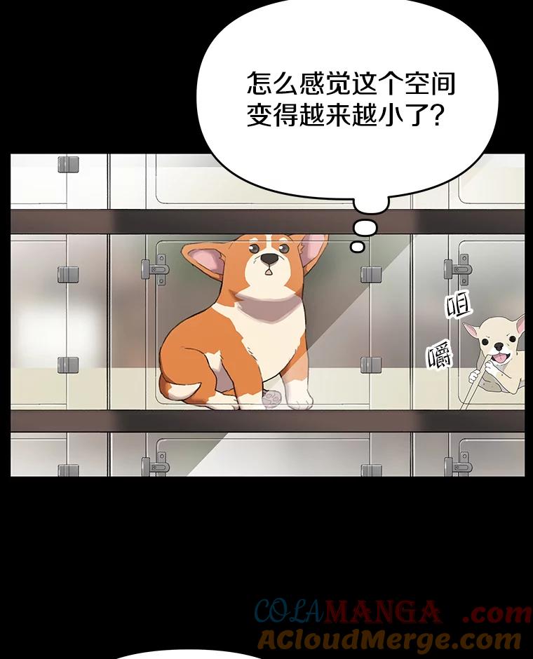 《彩虹桥守望者》47.小梦梦（2） 第10页