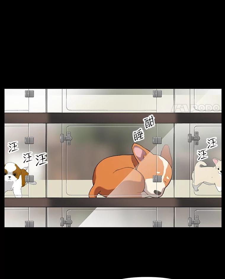 《彩虹桥守望者》47.小梦梦（2） 第9页
