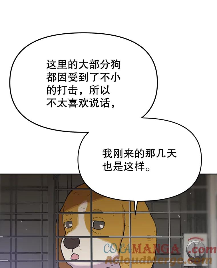 《彩虹桥守望者》48.欢迎回家 第16页
