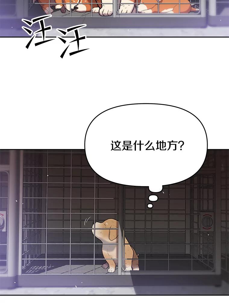 《彩虹桥守望者》48.欢迎回家 第5页