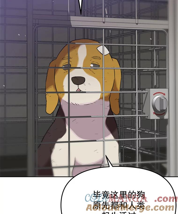 《彩虹桥守望者》48.欢迎回家 第10页