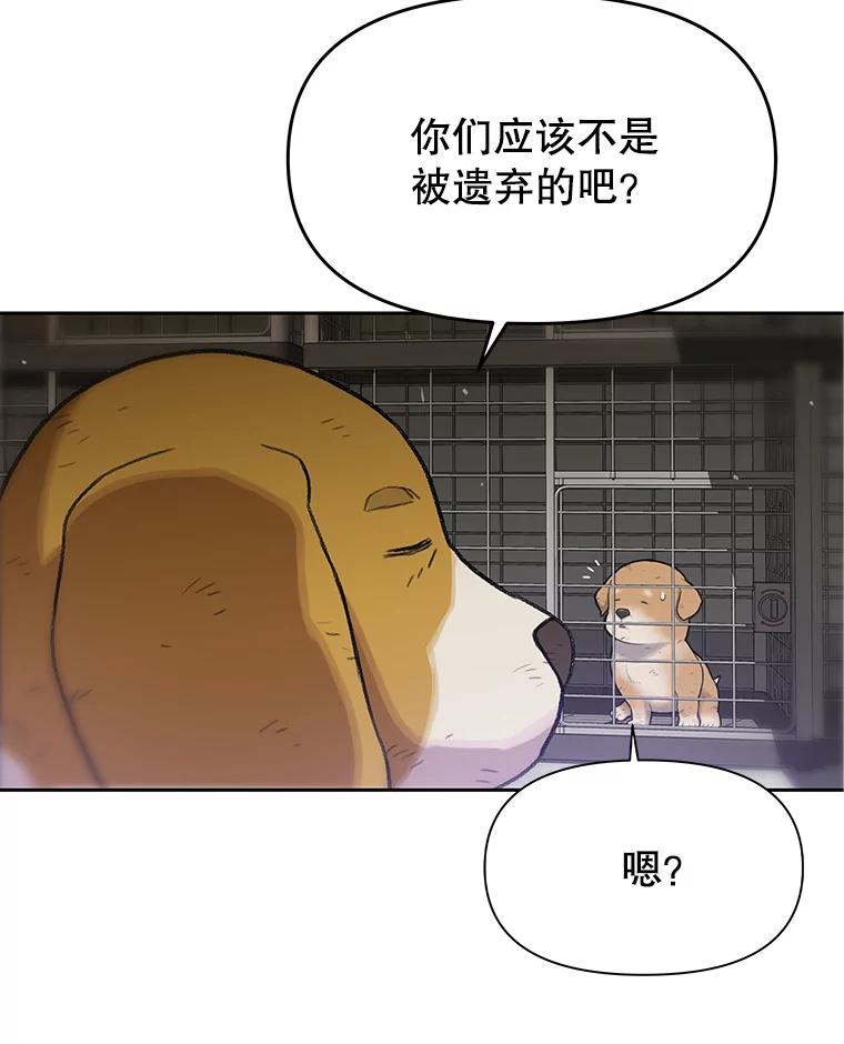《彩虹桥守望者》48.欢迎回家 第15页