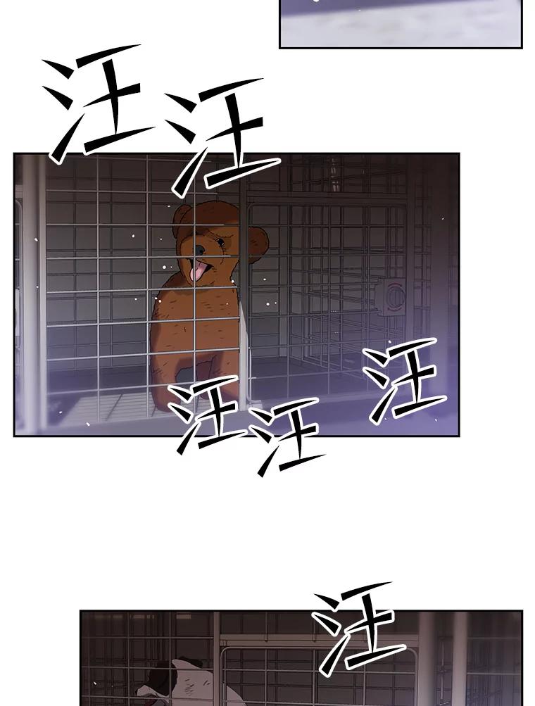 《彩虹桥守望者》48.欢迎回家 第3页