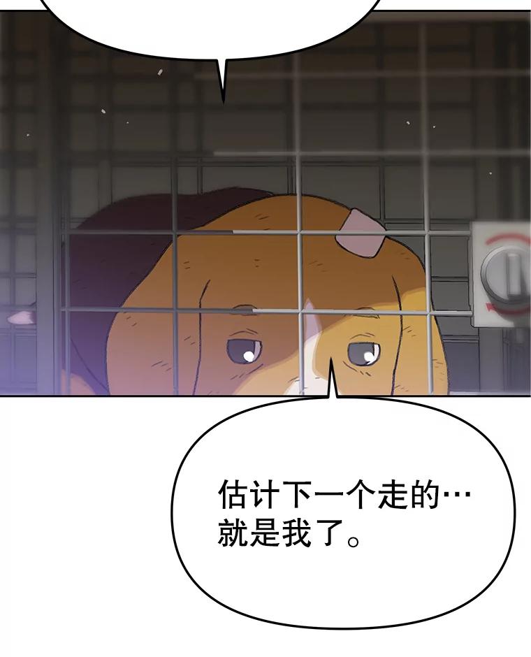 《彩虹桥守望者》48.欢迎回家 第20页