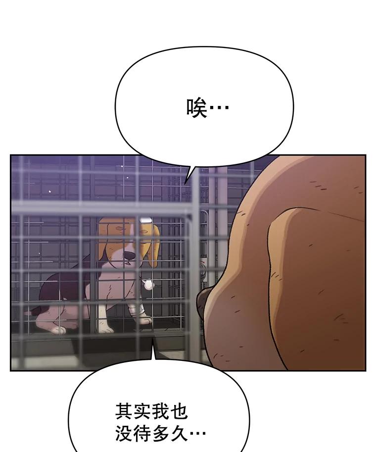 《彩虹桥守望者》48.欢迎回家 第8页