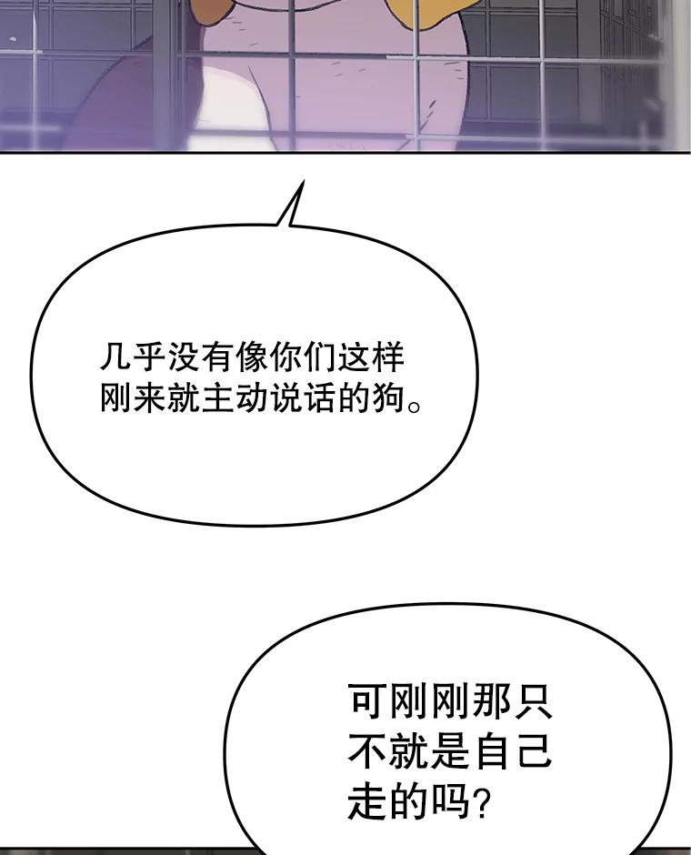 《彩虹桥守望者》48.欢迎回家 第17页