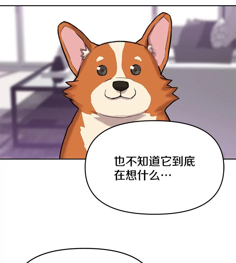 《彩虹桥守望者》49.领养（1） 第3页