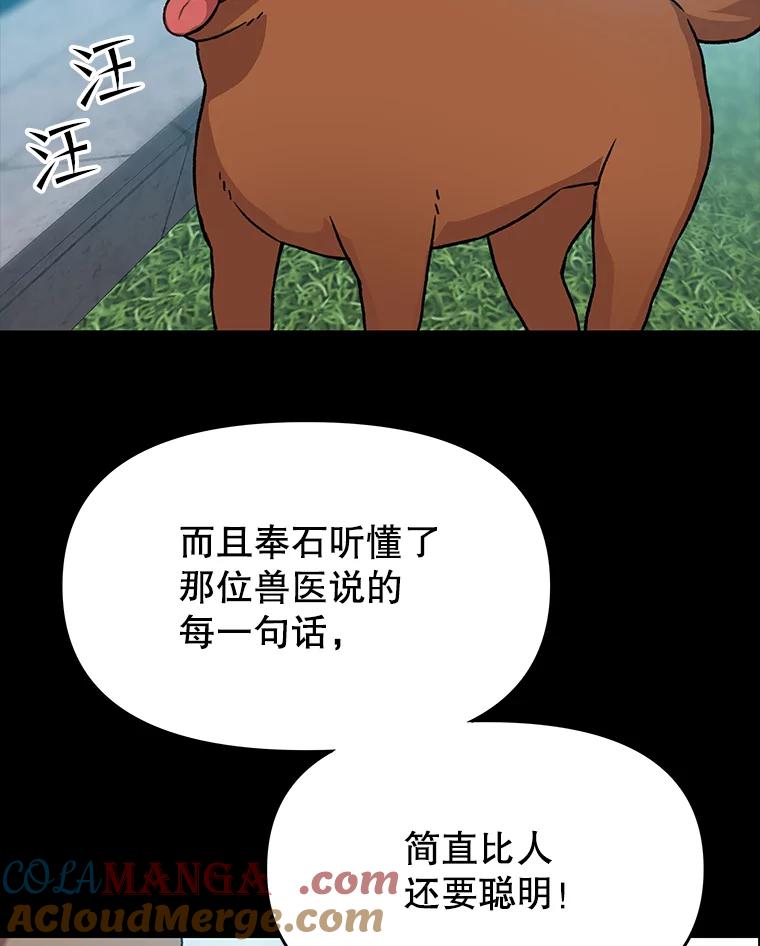 《彩虹桥守望者》49.领养（1） 第49页