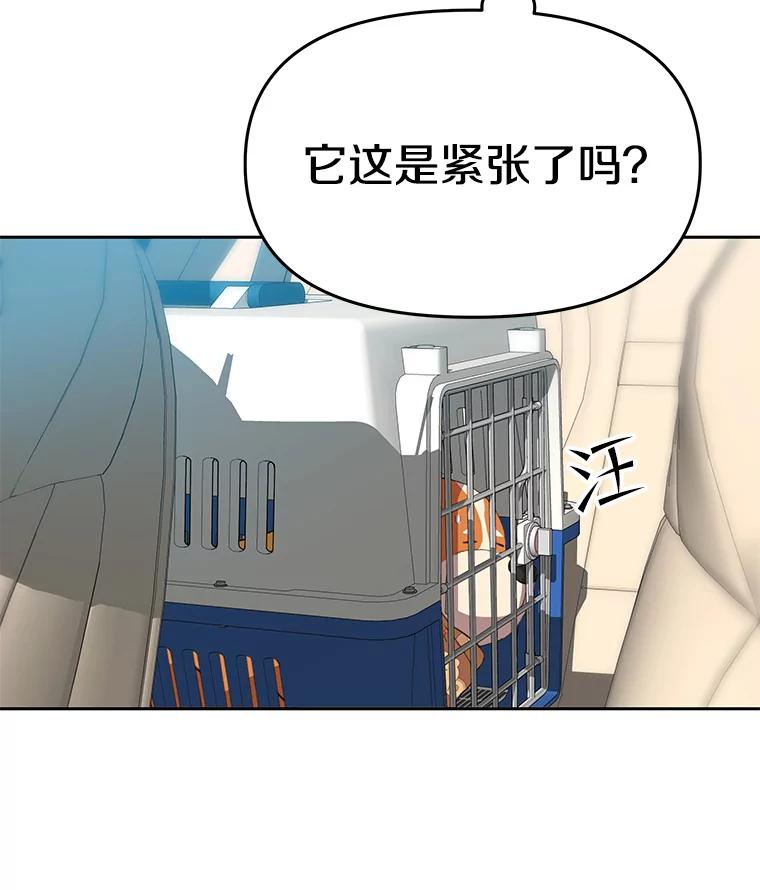 《彩虹桥守望者》49.领养（1） 第21页