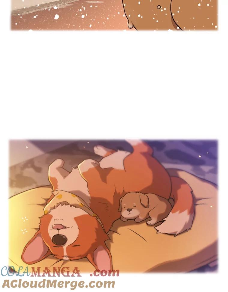 《彩虹桥守望者》50.领养（2） 第61页