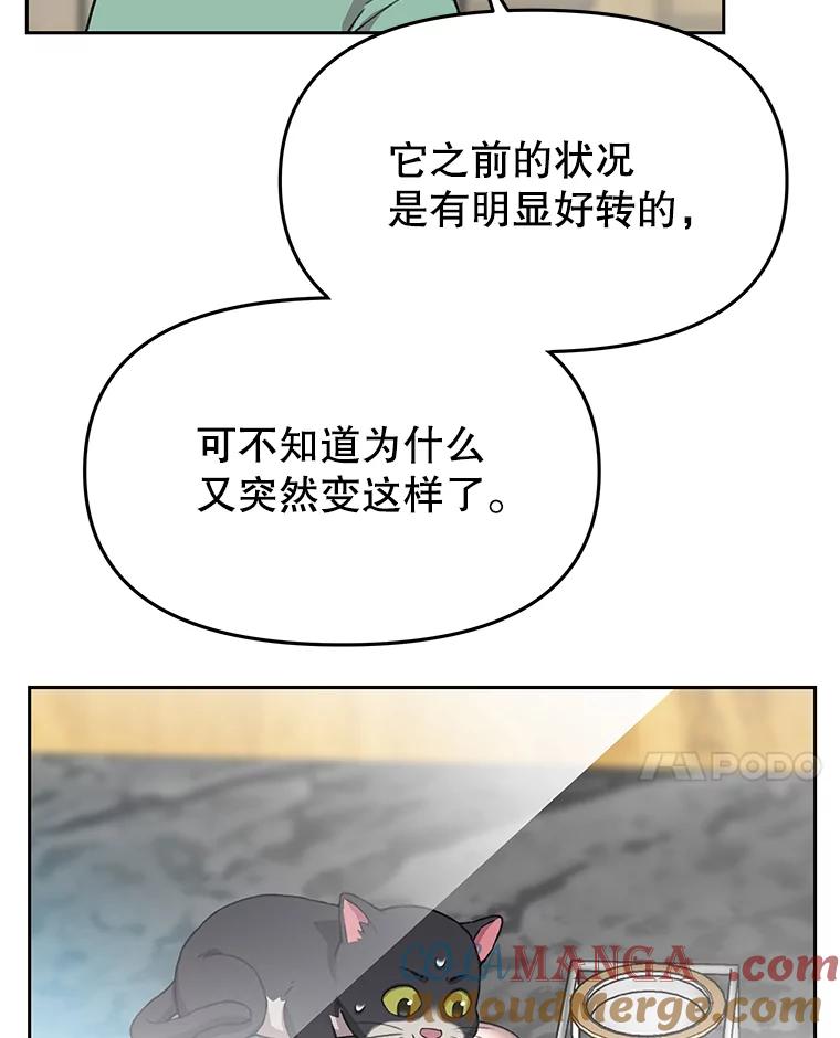 《彩虹桥守望者》50.领养（2） 第37页