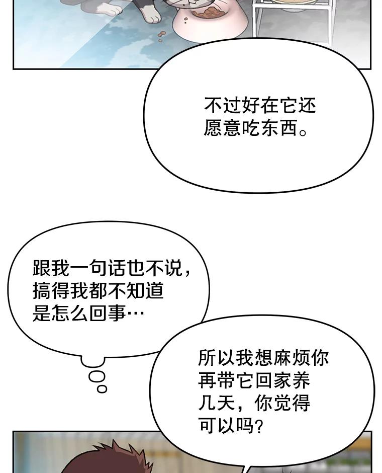 《彩虹桥守望者》50.领养（2） 第38页