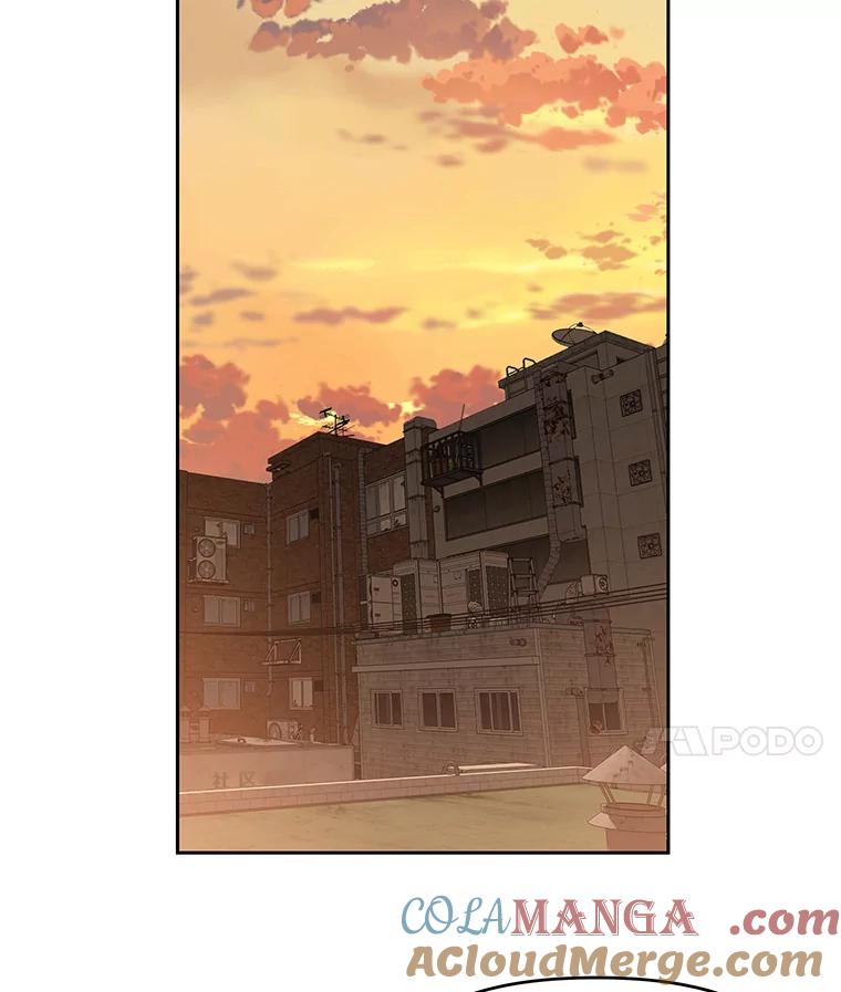 《彩虹桥守望者》51.伤猫者（1） 第40页