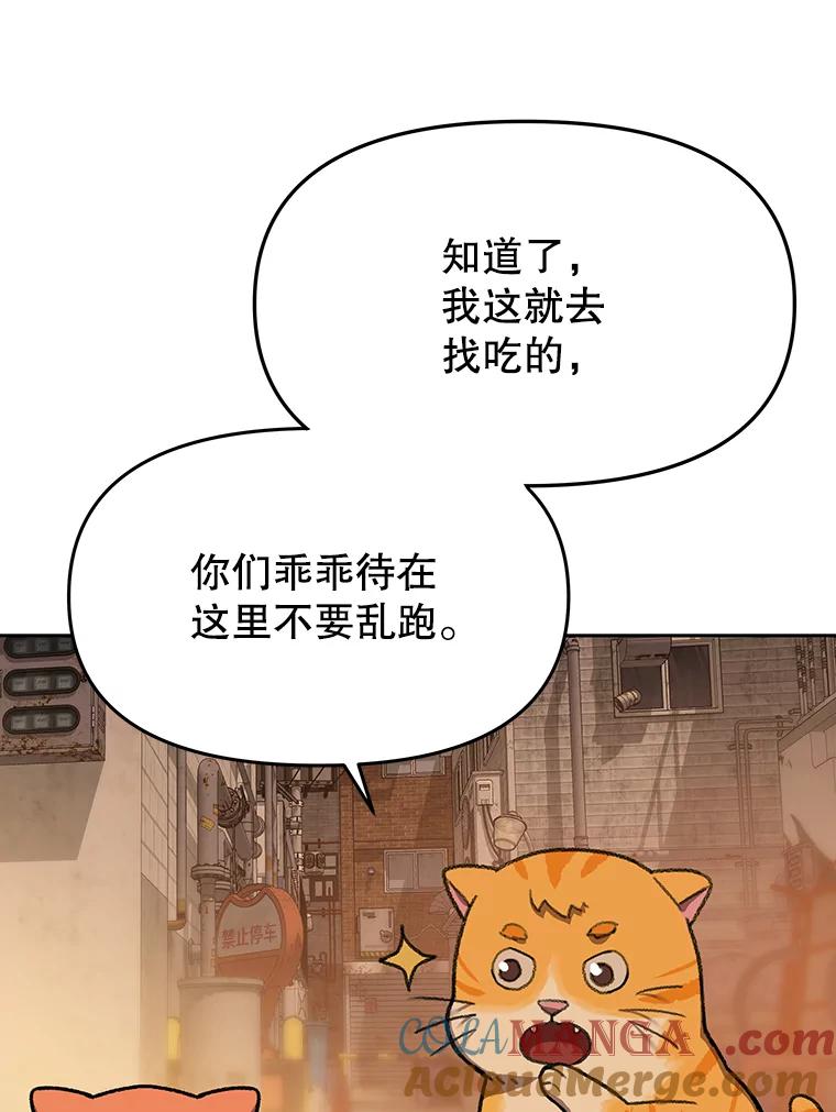 《彩虹桥守望者》51.伤猫者（1） 第43页