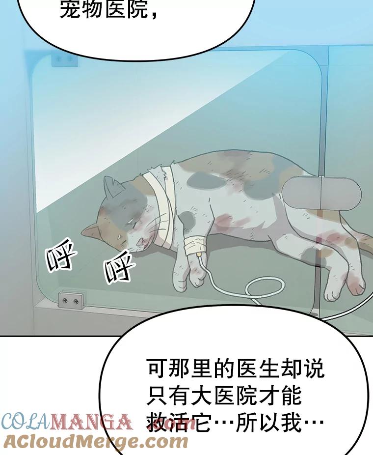 《彩虹桥守望者》51.伤猫者（1） 第13页