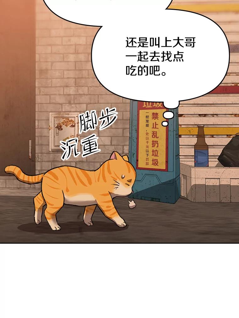 《彩虹桥守望者》51.伤猫者（1） 第45页