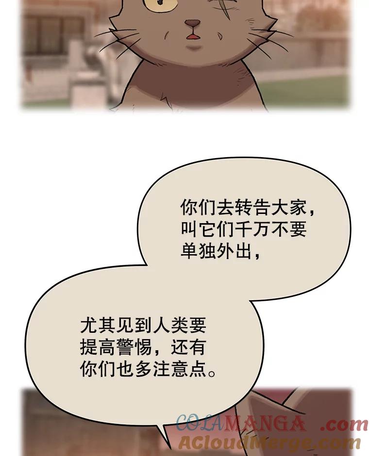 《彩虹桥守望者》51.伤猫者（1） 第58页