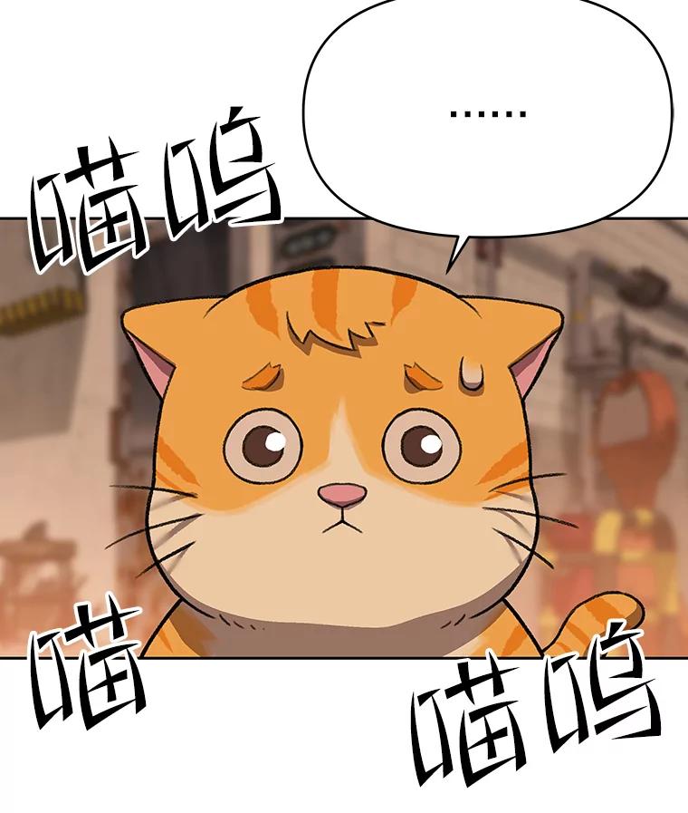 《彩虹桥守望者》51.伤猫者（1） 第41页
