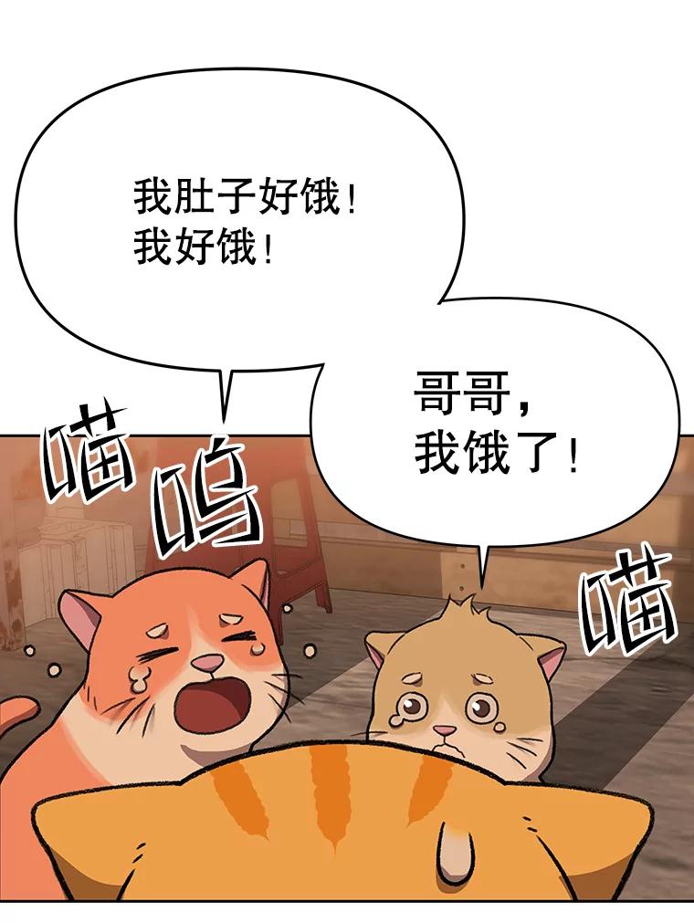 《彩虹桥守望者》51.伤猫者（1） 第42页