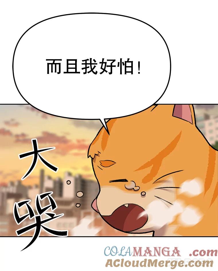 《彩虹桥守望者》51.伤猫者（1） 第61页