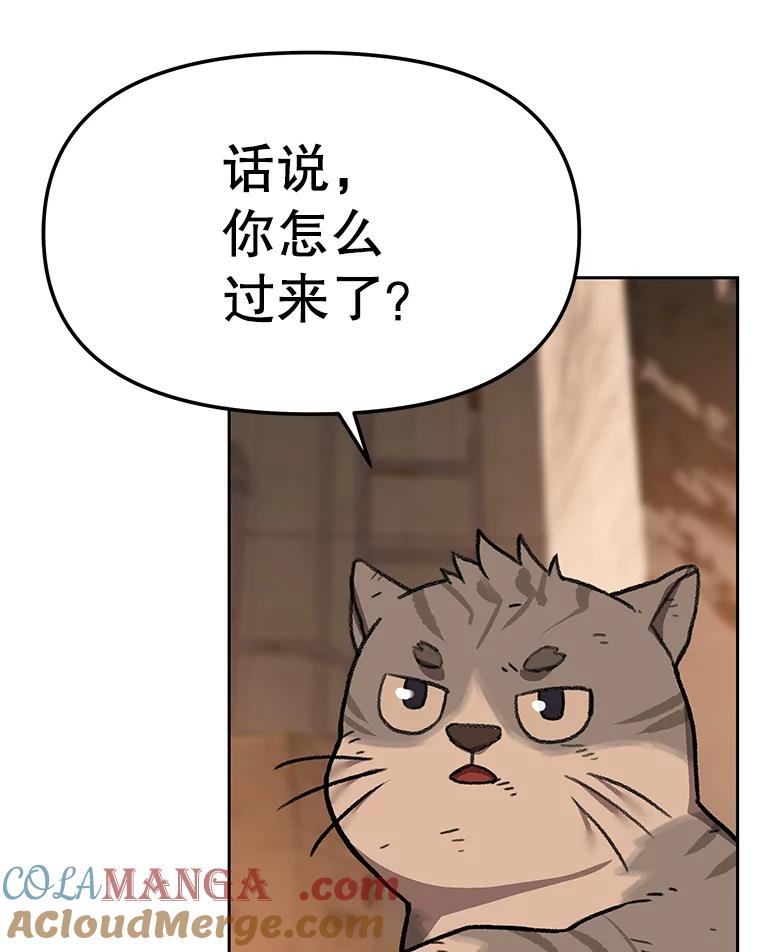 《彩虹桥守望者》51.伤猫者（1） 第49页