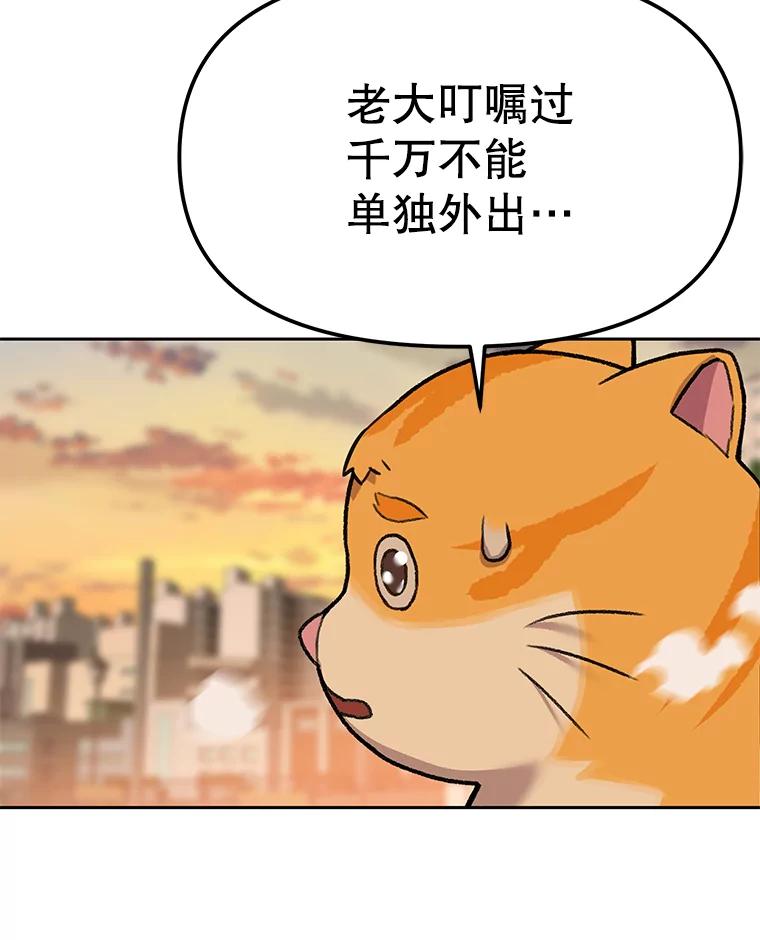 《彩虹桥守望者》51.伤猫者（1） 第60页