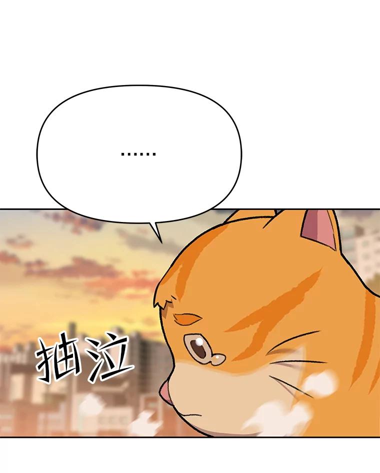 《彩虹桥守望者》51.伤猫者（1） 第62页