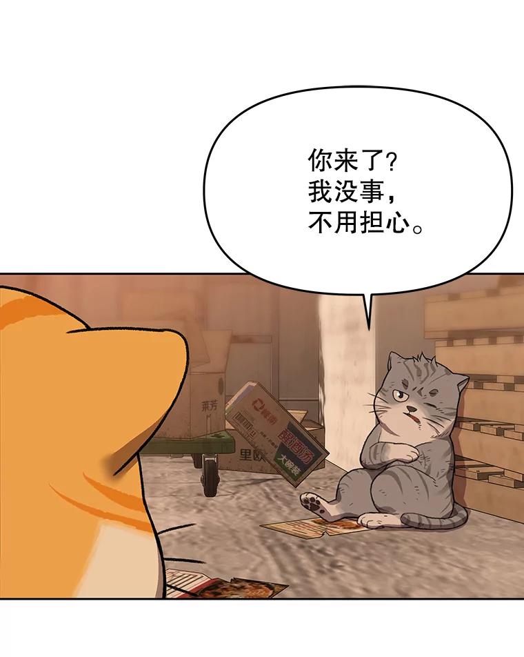 《彩虹桥守望者》51.伤猫者（1） 第48页