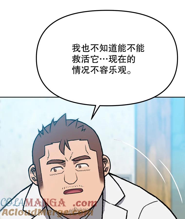 《彩虹桥守望者》51.伤猫者（1） 第16页