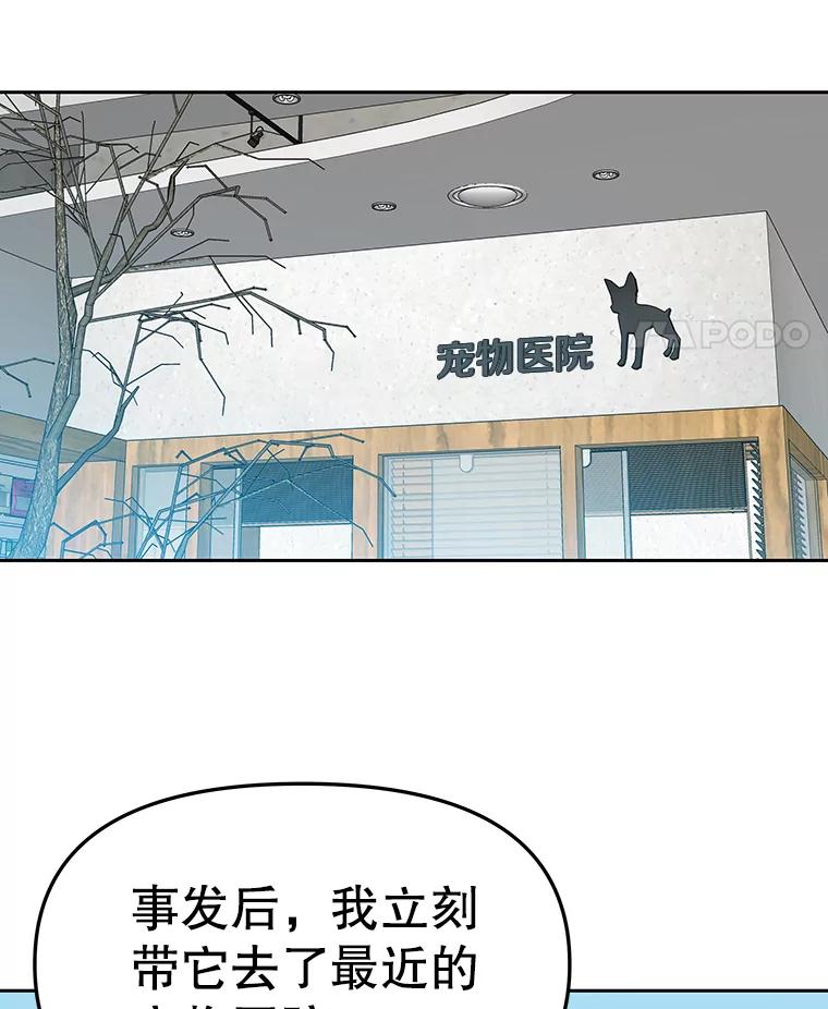 《彩虹桥守望者》51.伤猫者（1） 第12页