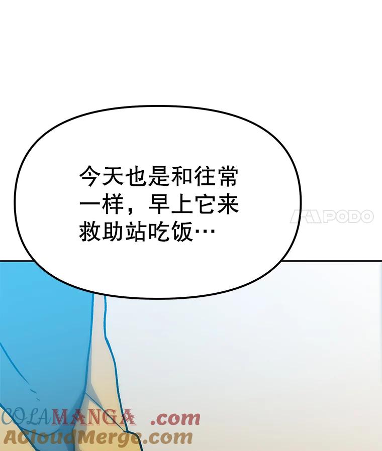 《彩虹桥守望者》51.伤猫者（1） 第19页