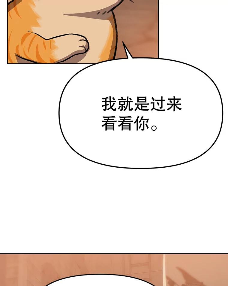 《彩虹桥守望者》51.伤猫者（1） 第51页