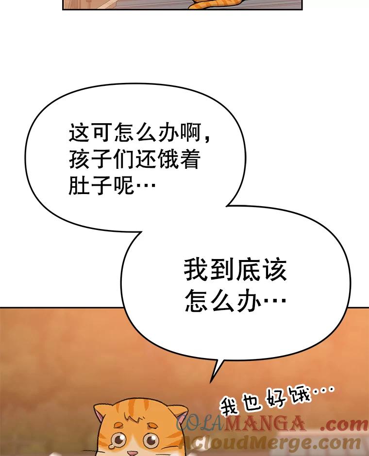 《彩虹桥守望者》51.伤猫者（1） 第55页