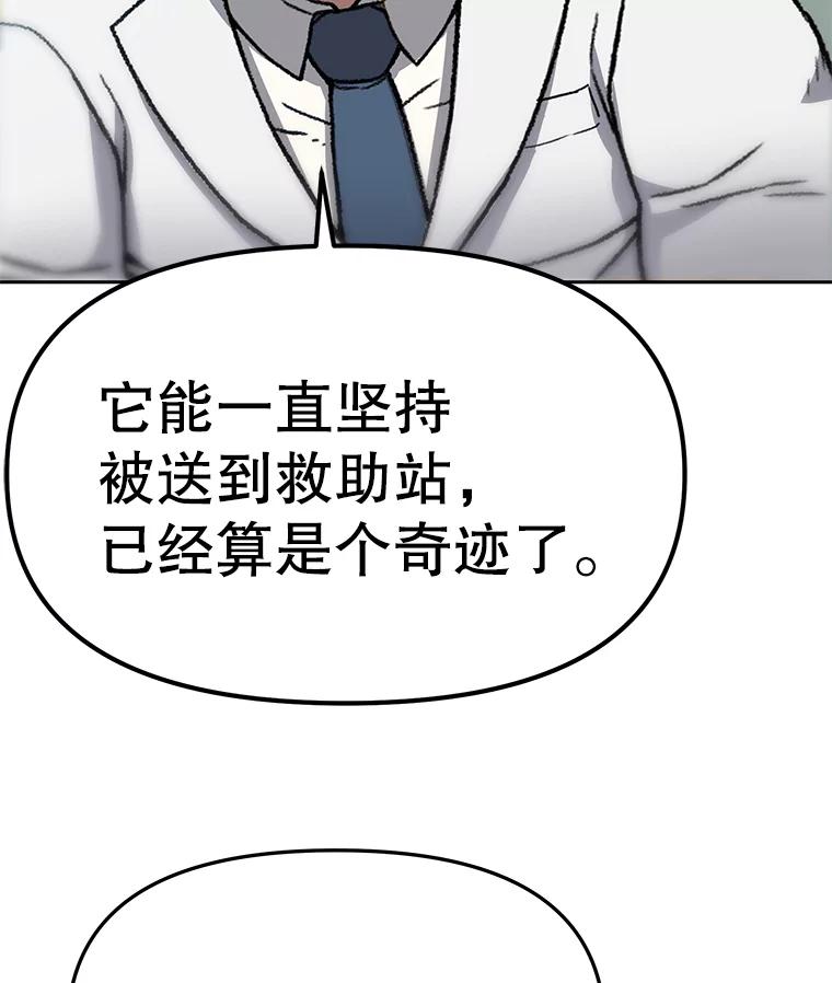 《彩虹桥守望者》51.伤猫者（1） 第17页