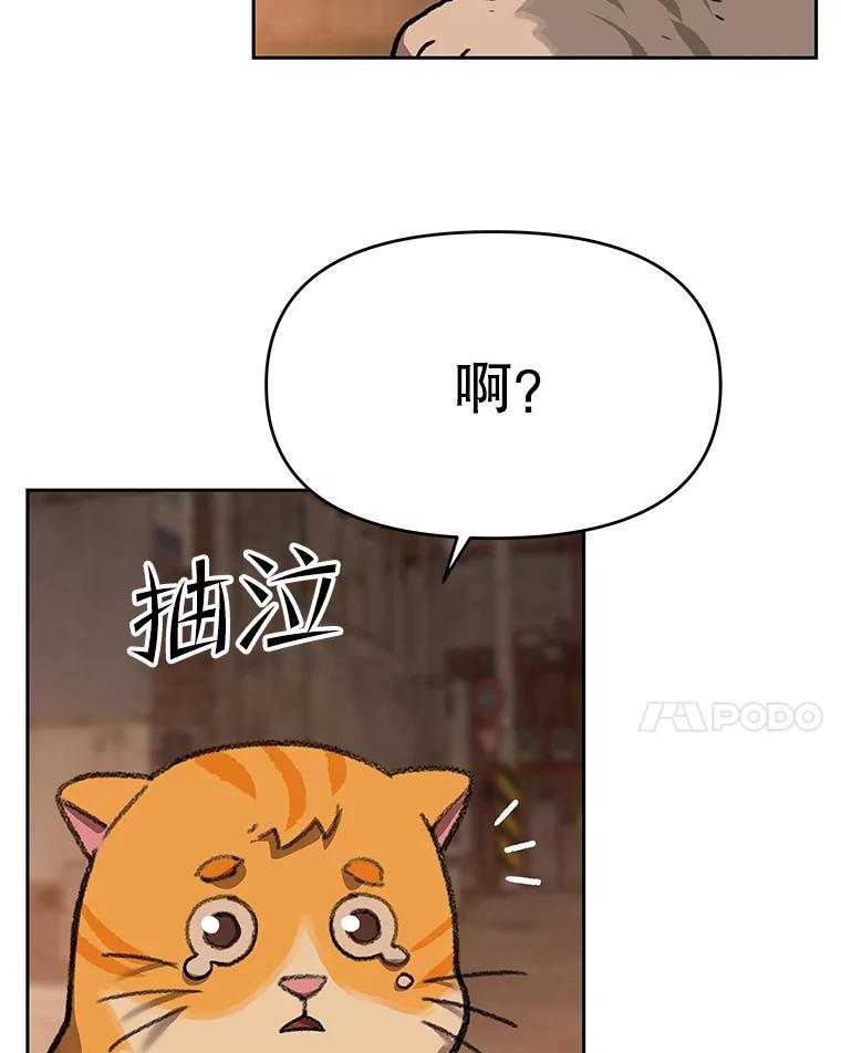 《彩虹桥守望者》51.伤猫者（1） 第50页