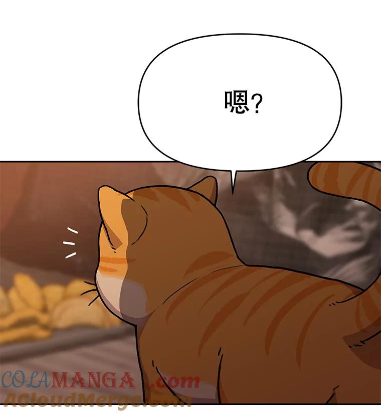 《彩虹桥守望者》51.伤猫者（1） 第73页