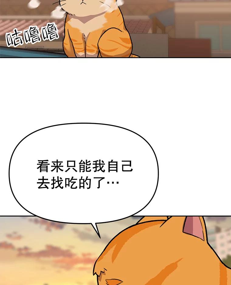 《彩虹桥守望者》51.伤猫者（1） 第56页