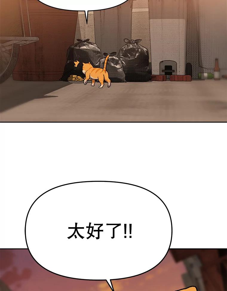《彩虹桥守望者》51.伤猫者（1） 第68页