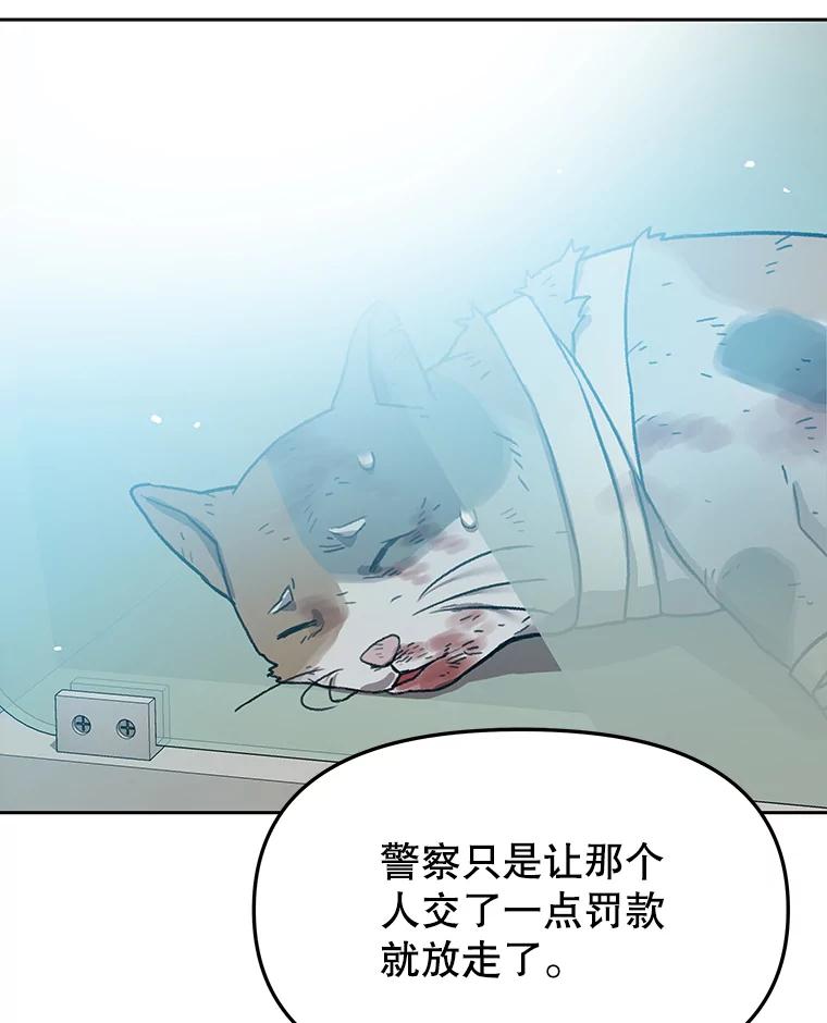 《彩虹桥守望者》51.伤猫者（1） 第29页