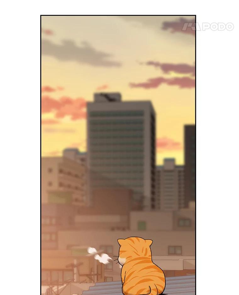 《彩虹桥守望者》51.伤猫者（1） 第54页