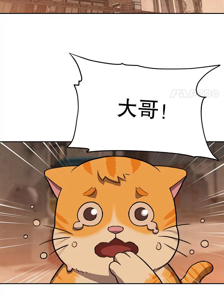《彩虹桥守望者》51.伤猫者（1） 第47页