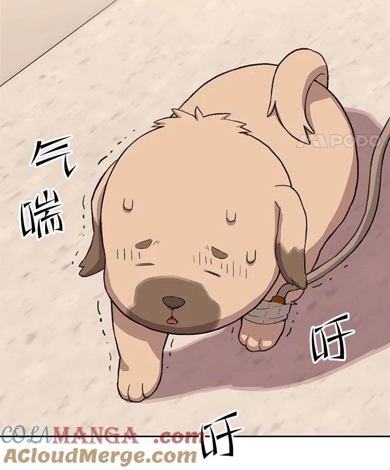 《彩虹桥守望者》52.伤猫者（2） 第13页