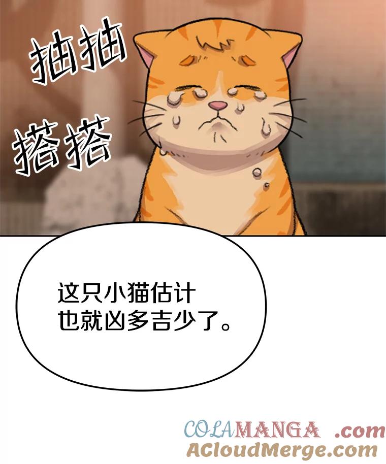 《彩虹桥守望者》52.伤猫者（2） 第46页