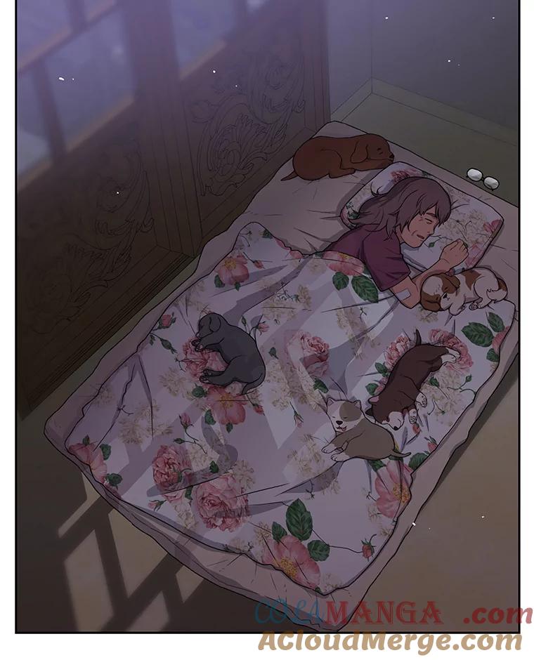 《彩虹桥守望者》52.伤猫者（2） 第73页