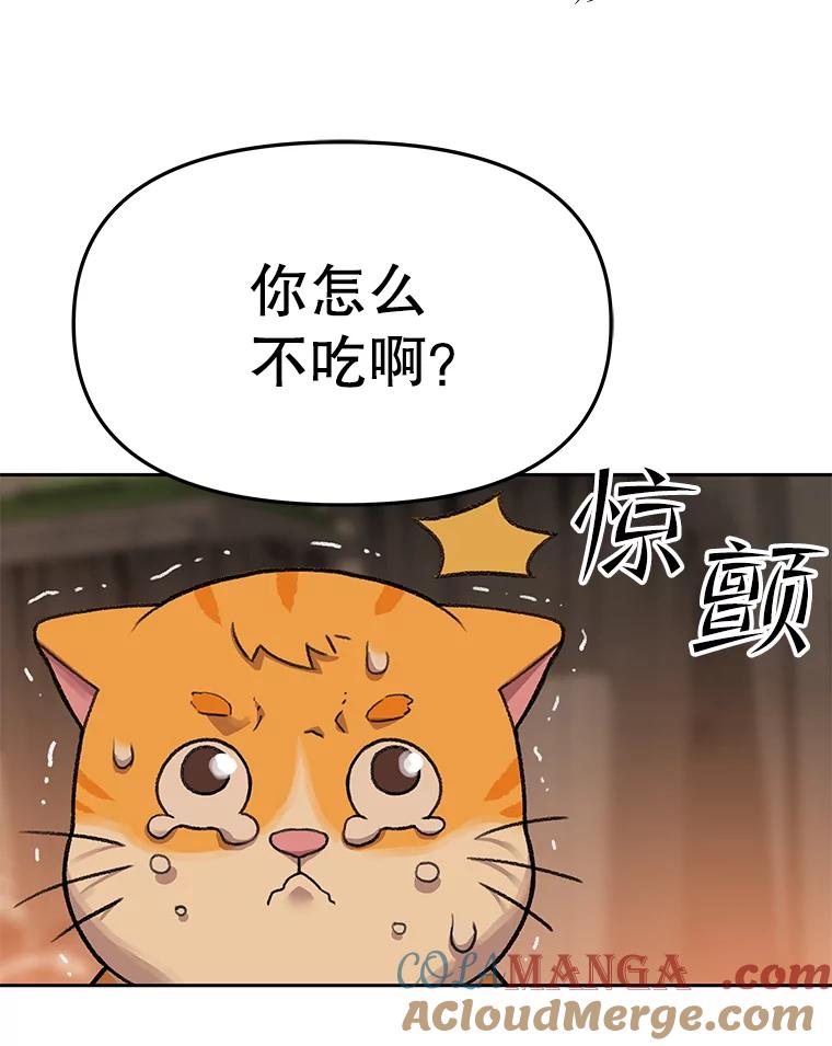《彩虹桥守望者》52.伤猫者（2） 第28页