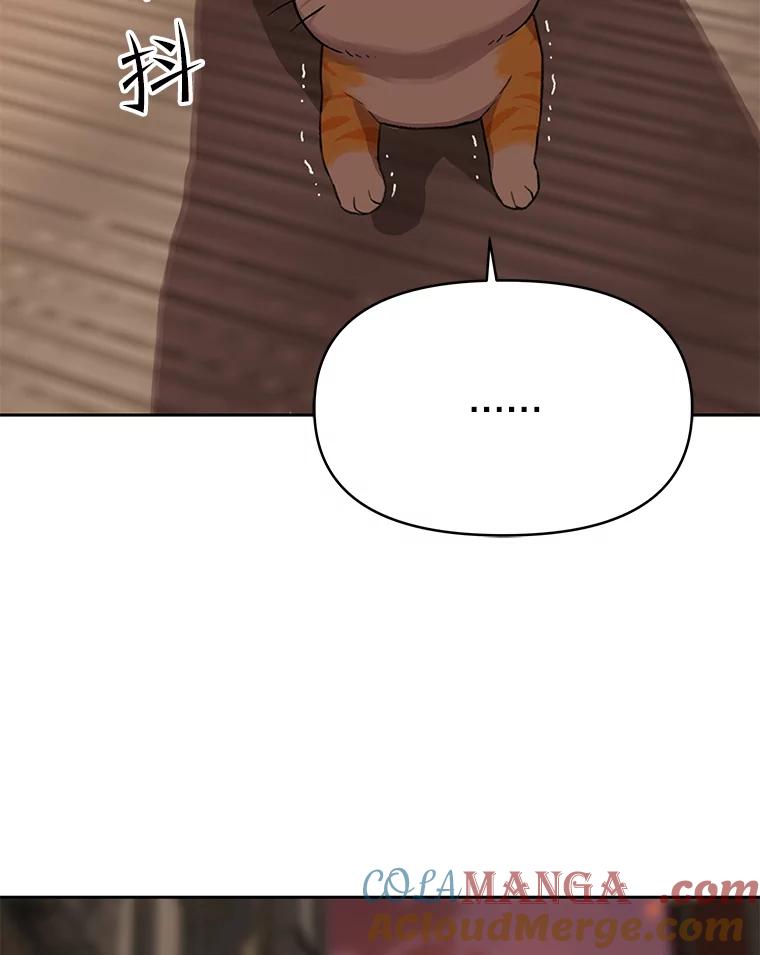 《彩虹桥守望者》52.伤猫者（2） 第25页