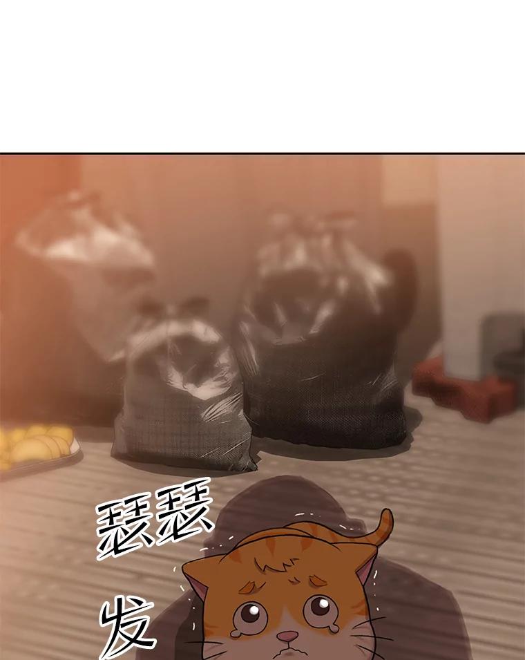 《彩虹桥守望者》52.伤猫者（2） 第24页