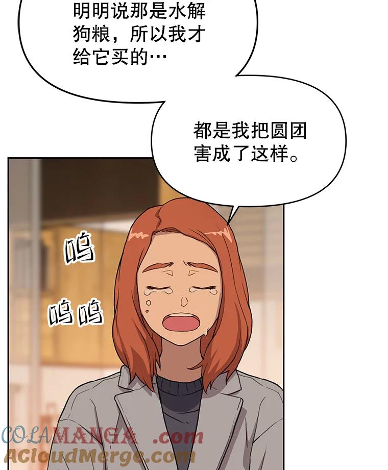 《彩虹桥守望者》52.伤猫者（2） 第19页
