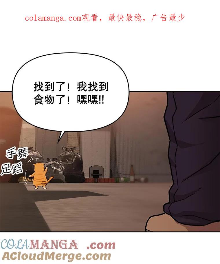 《彩虹桥守望者》52.伤猫者（2） 第1页