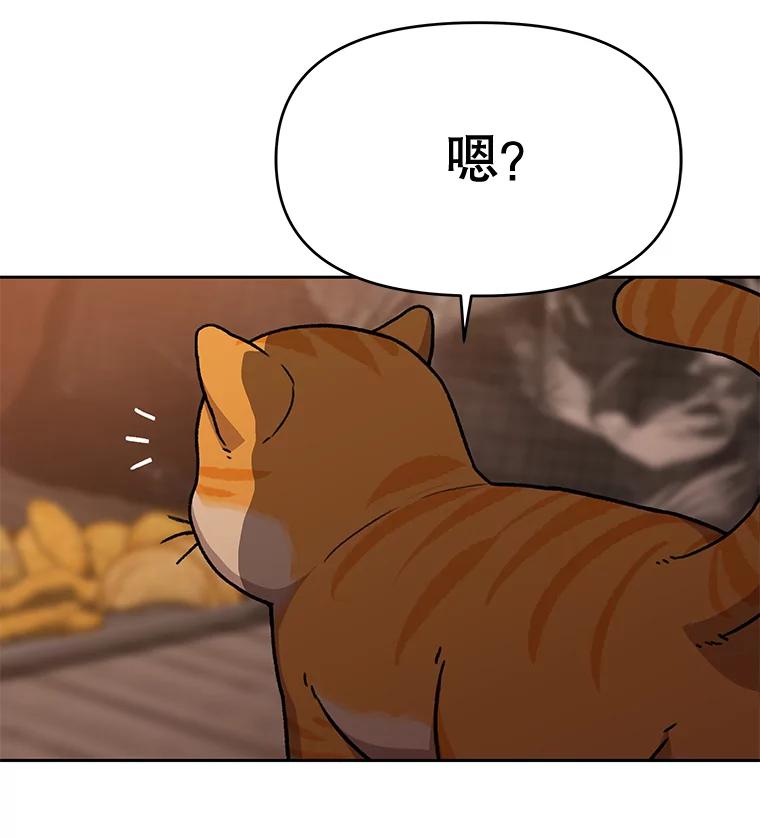 《彩虹桥守望者》52.伤猫者（2） 第2页